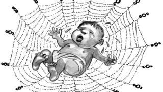 Социални инженери планират довършването на семейството