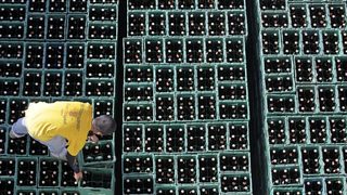 Белгия може да разследва готвеното поскъпване на бирата