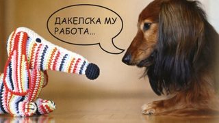 "Дакелска му работа" - изложба на 70 творци с фокус над един домашен любимец
