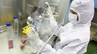 Учени превърнаха кожни клетки на мишка в мозъчни клетки