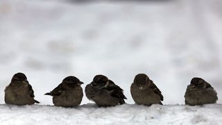 Балканите и Турция все още са в плен на студа