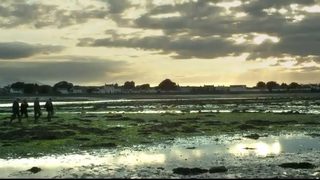 Късометражните фаворити за "Оскар" разбиват предубежденията към жанра