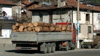 Дърводобивният бранш протестира с катафалка