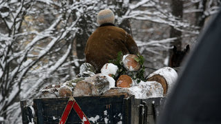 Бракониер нападна с резачка полицаи