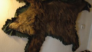 Нова порция незаконни ловни трофеи бяха иззети от заведения в Говедарци