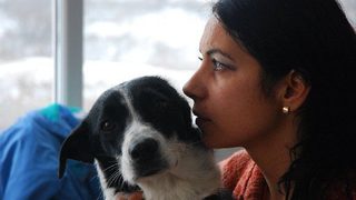 Надя Станчева, Animal Rescue: Арогантно е Найденов да ни вини за бездомните кучета. Ние вършим неговата работа
