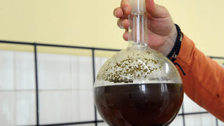 Непосилната лекота на розовия аромат
