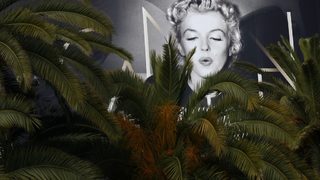 Палмите на Кан посрещат гостите на кинофестивала за 65-и път днес