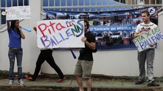 Южна Корея планира да върне китолова с научна цел