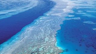 Kиселинността на морските води се покачва неочаквано бързо, заплашва кораловите рифове