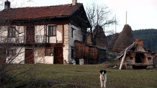 Визите принудиха руснаци да купуват селски къщи в Добричко