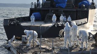 Рекордно високо ниво на <span class="highlight">цезий</span> е установено в риба в района на "Фукушима-1"