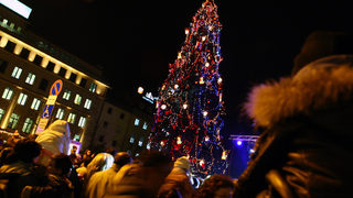 В София грейва коледната елха