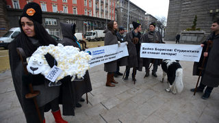 Младежи с геги и ямурлуци протестираха срещу "овчата" политика на кабинета