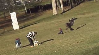 Видео: <span class="highlight">Орел</span> грабна дете! Да, ама не