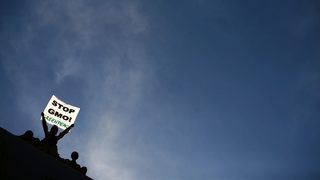 "Монсанто" се отказва от продажбата на нови <span class="highlight">генно</span>-<span class="highlight">модифицирани</span> култури в ЕС