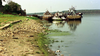 <span class="highlight">WWF</span> лансира идея <span class="highlight">за</span> общи защитени влажни зони <span class="highlight">за</span> България и Румъния