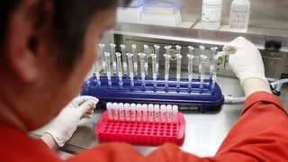 Лаборатории за тестване на храни ще спечелят от проблема с конското месо