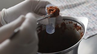 Ирландска кланица пращала конско вместо говеждо в Чехия