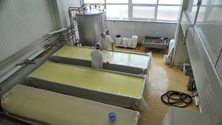 Съдът отмени <span class="highlight">на</span> първа инстанция ограниченията за мандрите