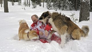 Фотогалерия: Путин с кучето, подарено от Борисов