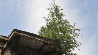 Домът за деца в село <span class="highlight">Крушуна</span> ще бъде закрит до края на юни