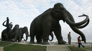 Откритие за изчезването на мамутите дава надежда за застрашените видове днес