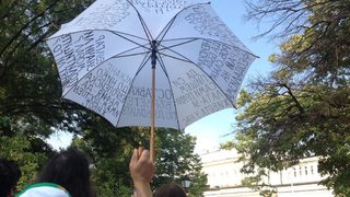 Ден 28-ми от протестите - поети и театрали щурмуваха огражденията на парламента