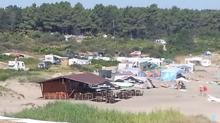 Ето това е истинският нарушител на плажа Корал
