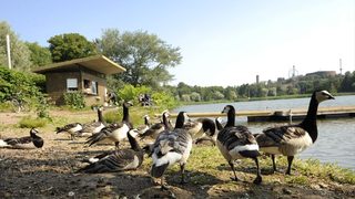 Финландският бизнес отново се обръща към Русия