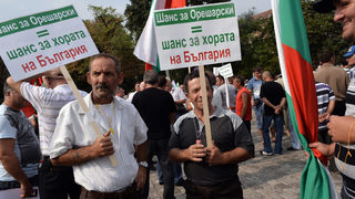 За контрапротеста, Шамара и Петното