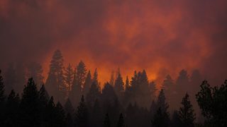 Пожарът край Свиленград е локализиран, гасенето продължава (видео)