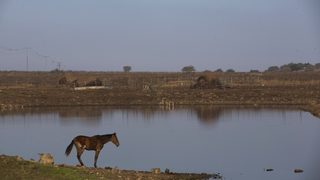 Учени: Светът скоро ще ползва интензивно отпадните води