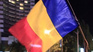 Румънци искат избиване на улични кучета след смъртта на дете