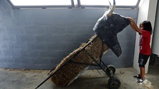 Фотогалерия: Когато порасна, ще стана... бикоборец