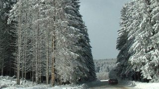 Снежна буря затвори всички пътища в Силистренско