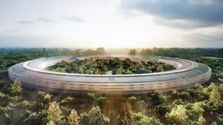 Apple ще засади 7000 дръвчета при новата си централа