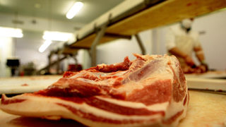 Десет души бяха задържани в Румъния за данъчни измами и продажба на развалено месо