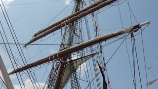 Фотогалерия: Регатата "<span class="highlight">Тол</span> <span class="highlight">шипс</span>"