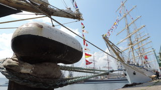 Фотогалерия: Регатата "<span class="highlight">Тол</span> <span class="highlight">шипс</span>"