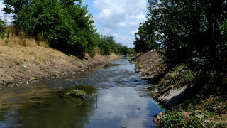 Проверява се дали е отровена река Луда Яна