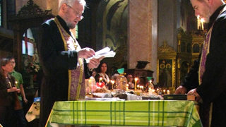 <span class="highlight">Черешова</span> <span class="highlight">задушница</span>