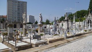 И такива гробища има