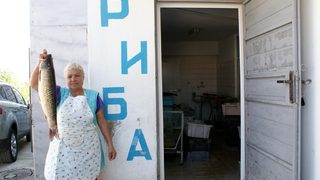 Фотогалерия: В търсене на диви <span class="highlight">есетри</span> по Дунав