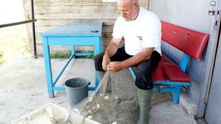 Фотогалерия: В търсене на диви <span class="highlight">есетри</span> по Дунав