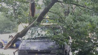 Застрахователите обещават експресно покриване на щетите от градушката