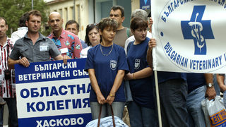 Ветеринарните лекари излизат на национален протест