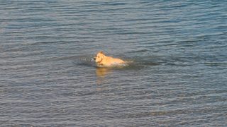 Жега днес, захлаждане се чака през уикенда