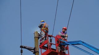 Щъркобрани предпазват щъркелите от токов удар