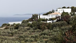 Холандия е изхарчила 461 000 евро за ограда на ваканционната къща на краля в Гърция
